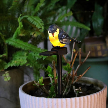 Solar Bird Stake Garden Light